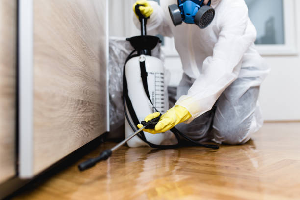 Best Pest Control for Homes  in Ninnekah, OK