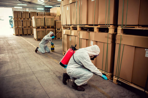 Best Bed Bug Extermination  in Ninnekah, OK