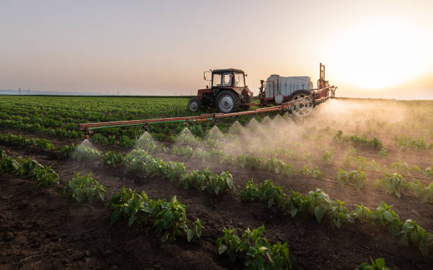 Best Pest Control for Homes  in Ninnekah, OK