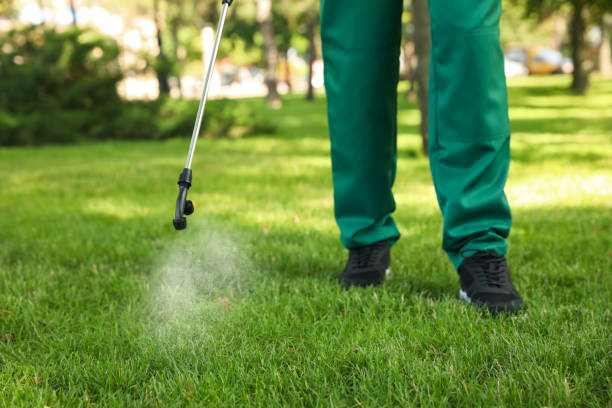 Best Exterminator Services  in Ninnekah, OK