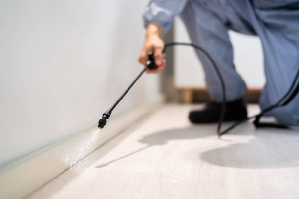 Pest Control for Restaurants in Ninnekah, OK