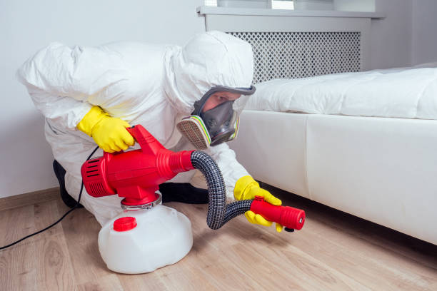 Best Wasp Removal Services  in Ninnekah, OK