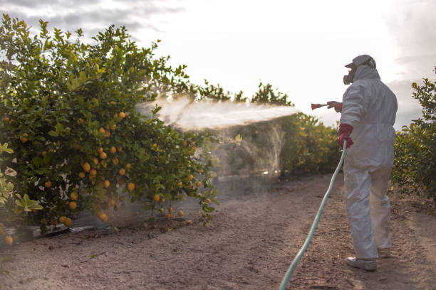 Professional Pest Control in Ninnekah, OK
