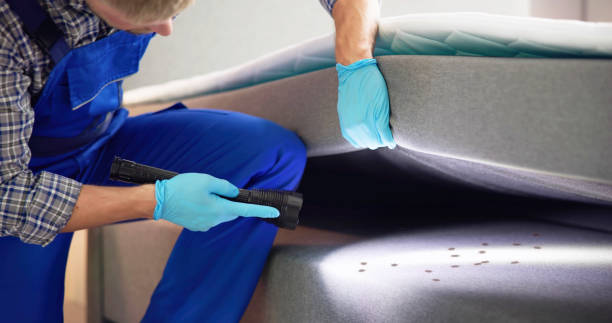 Best Best Pest Control Companies  in Ninnekah, OK