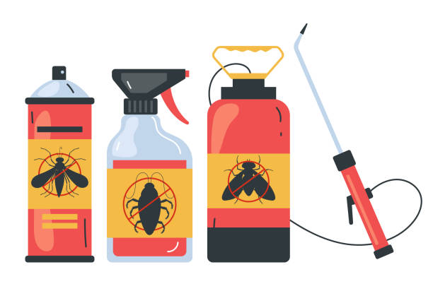 Best Ant Control Services  in Ninnekah, OK