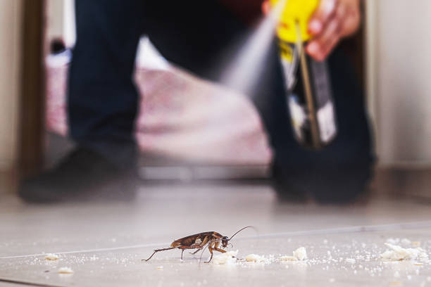 Best Pest Prevention Services  in Ninnekah, OK