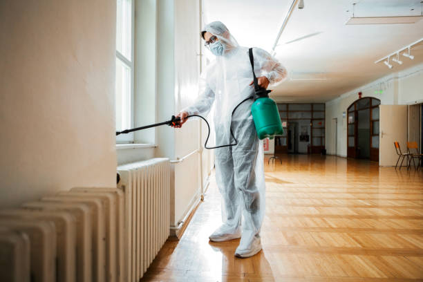 Best Termite Control Services  in Ninnekah, OK