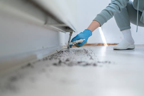 Best Pest Control for Restaurants  in Ninnekah, OK