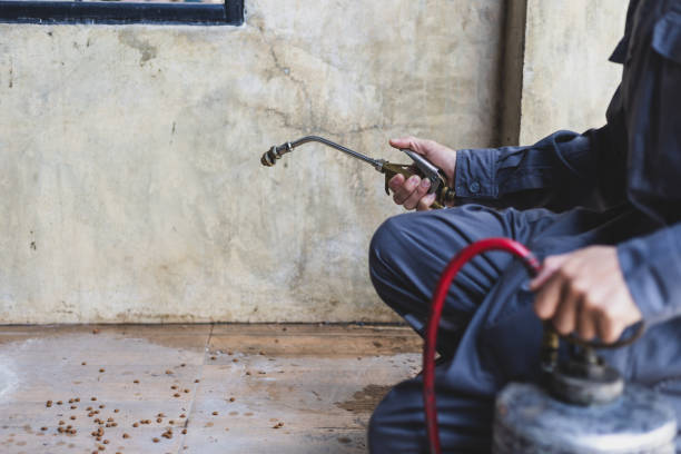 Best Affordable Pest Control Services  in Ninnekah, OK