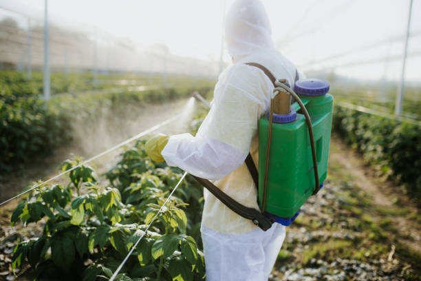 Best Commercial Pest Control Services  in Ninnekah, OK